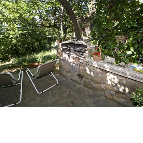 Typical little Italian property in the middle of fruit trees
