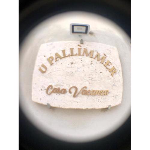 U pallimmer