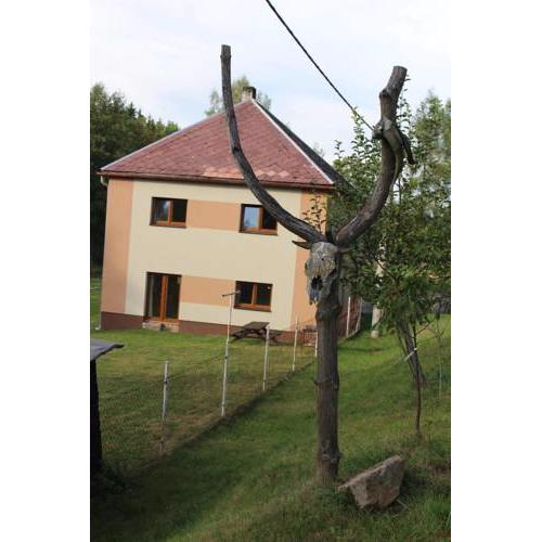 Ubytování Chlum 1