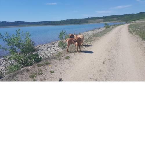 Ubytovaní Nad jezerem Medard