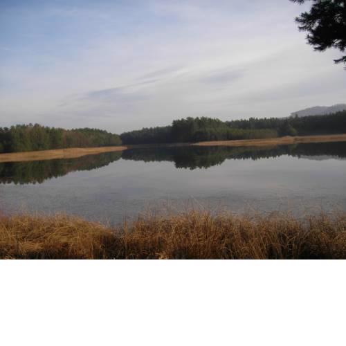Ubytování Ralsko-Hradcany