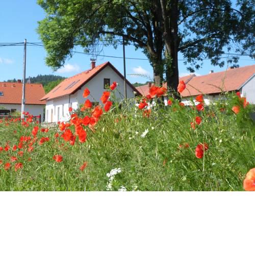 Ubytování u Zámku