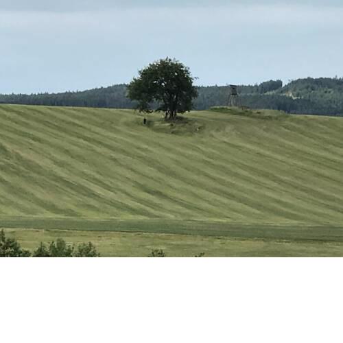 Ubytování ve Veclově