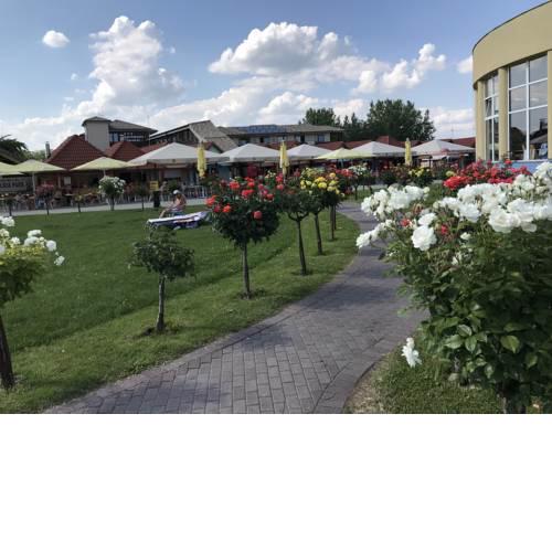 Ubytovňa TERMAL