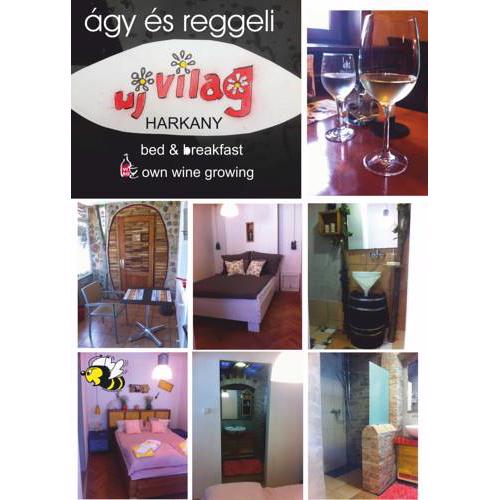 ui vilag