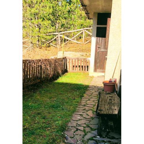 Un Giardino nel Bosco