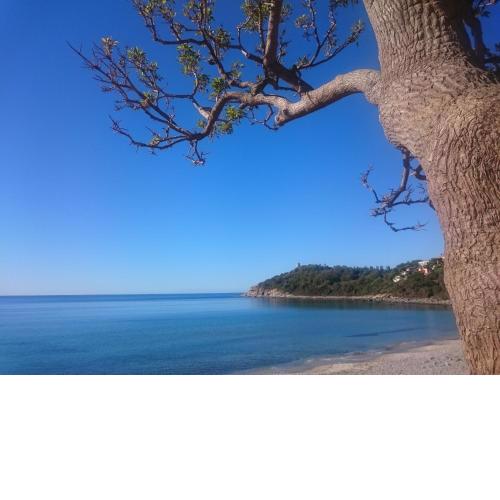 Un po di relax a pochi passi dal mare!