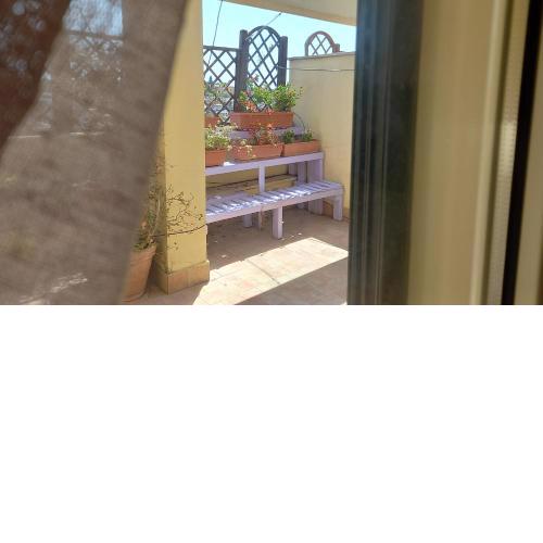 Un sacco di vento
