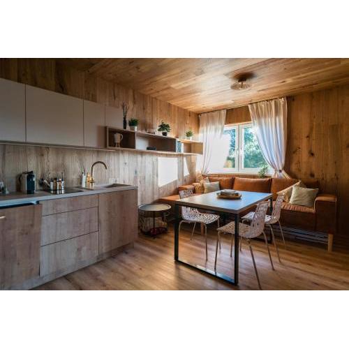 Unique Lipno Apartment