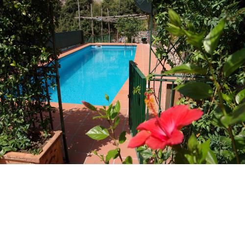 Unique, waterfront Villa la Madonnina for 6, waterfront, pool, parking