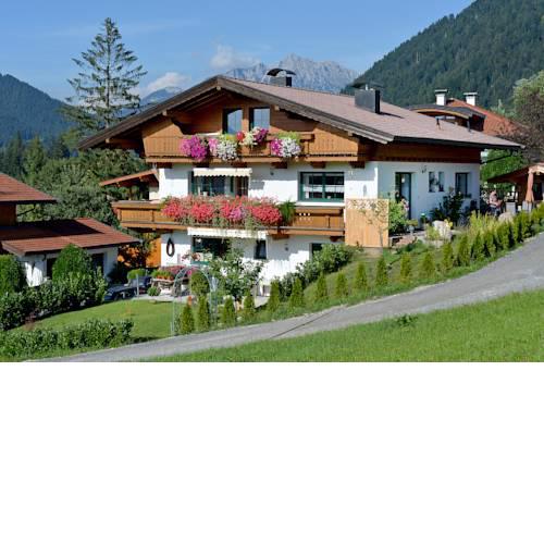 Untergrünholz