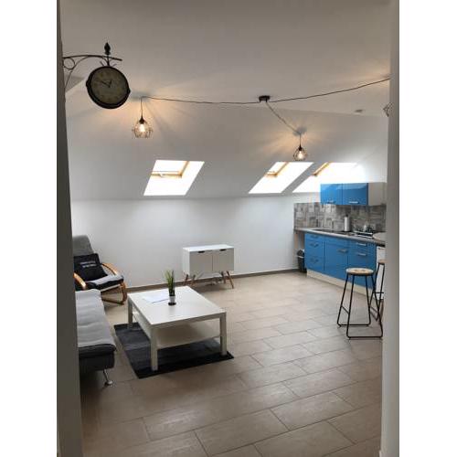 Urban-Style-Rooftop-Apartment