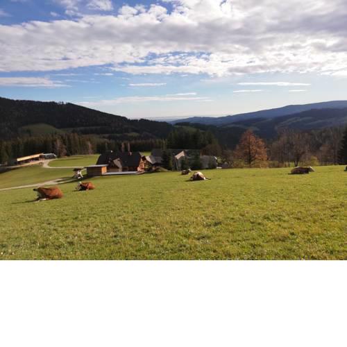 Urlaub am Bio-Bauernhof Puffing