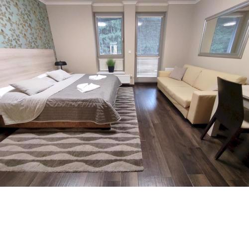 Útulné studio s balkónem a možností wellness