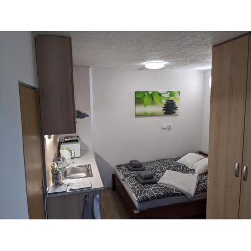 Útulné studio u Mariánského údolí v Brně - Líšni