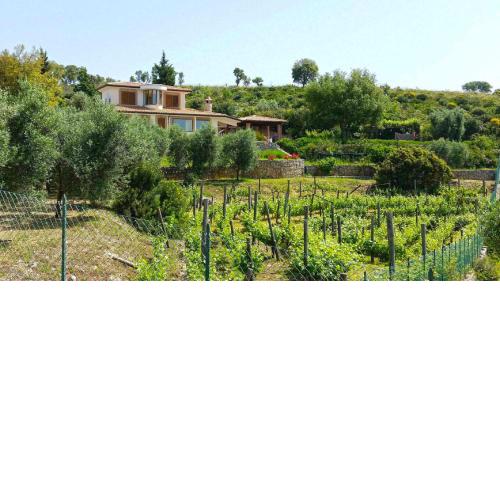 UVA E STELLE villa ad uso esclusivo tra le colline di Sperlonga