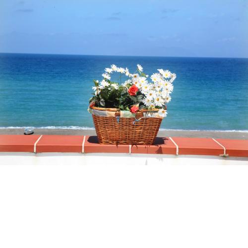 Vacanze al Mare Patrizia's Sweet Home