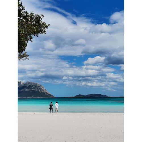 Vacanze da sogno a pochi km. da Olbia