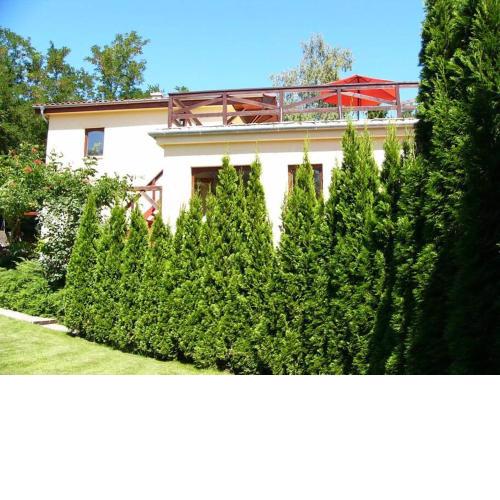 Vacation home near Budapest, ideal for Hungaroring
