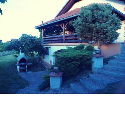 Vacation Home Vitis