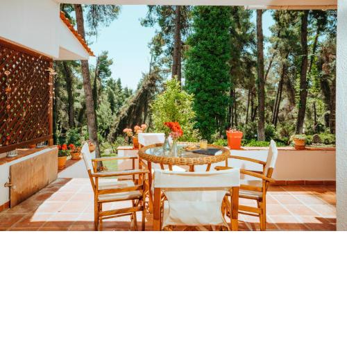 Vacation home with large garden in Sani's forest