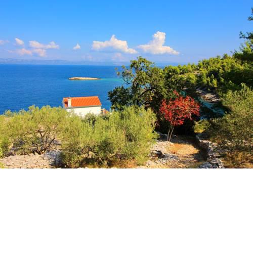 Vacation House Biondina