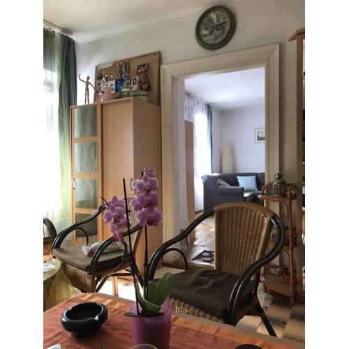 Vadmacska Apartmann
