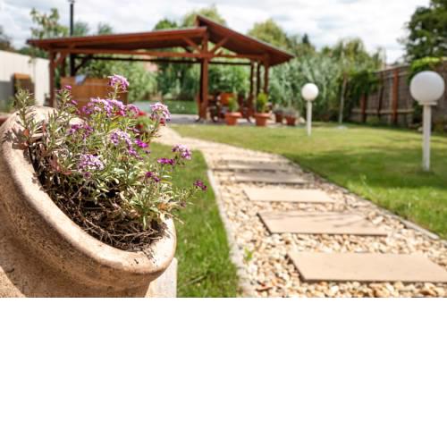 Vadszőlő Apartmanház Gyomaendrőd