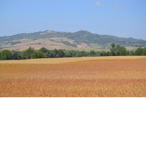 Valdorcia Belvedere b&b