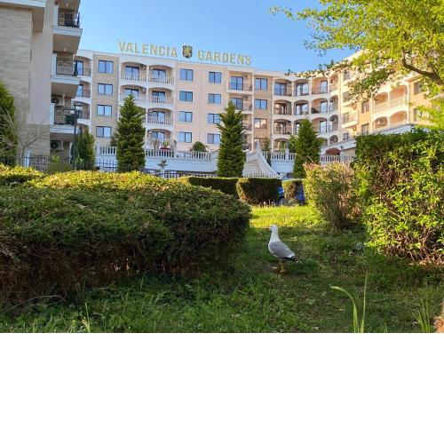 Valencia Gardens Lux Terrace
