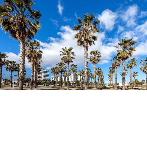 Valencia/Mare Nostrum