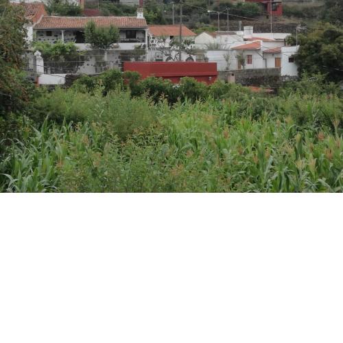 VALLESECRETO