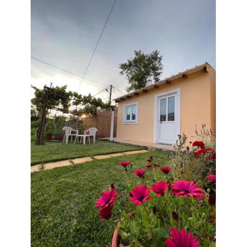 Vasiliki Little House