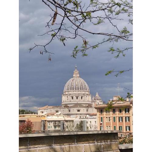 Vatican Heart Leone - Roman terrace