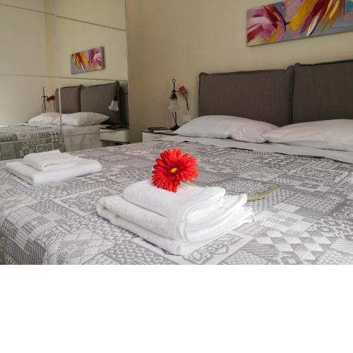 Vele Bianche Cosy Home con terrazza