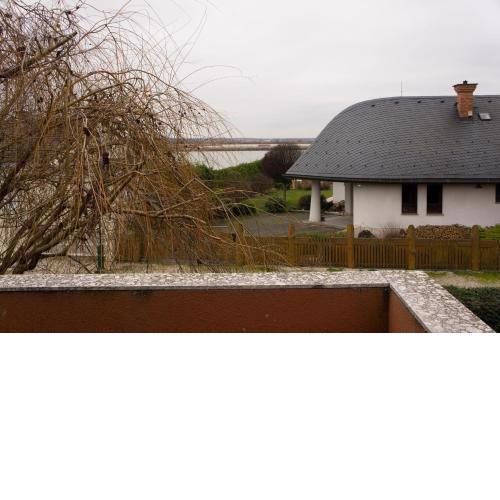Velencei Fűzfás