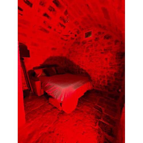 velvetsuite