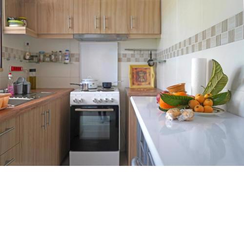 VENI Olive House