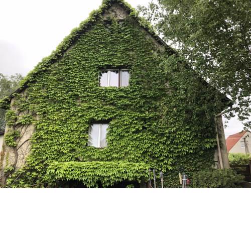 Veranda Apartman
