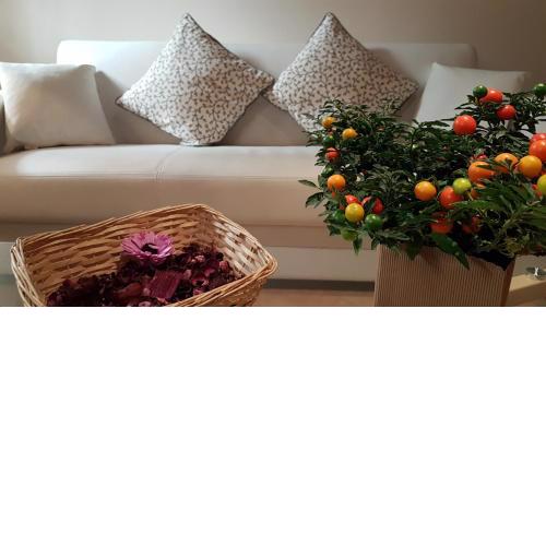Veronetta lovely apartment