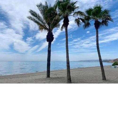 Viajero del Sol El Morche Torrox Costa Málaga
