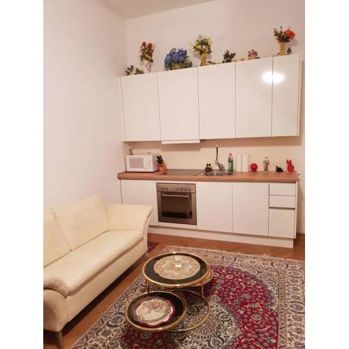 Vienna- Luxury Appartement