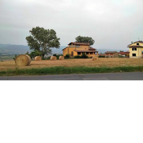 Vigna del Poggio