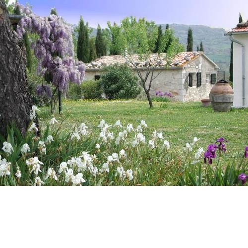 Vignagrande Agriturismo