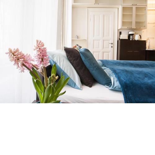Viktoria Central Apartment