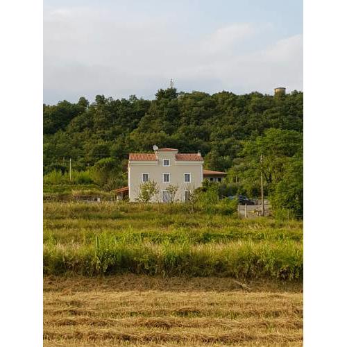Vila Flora
