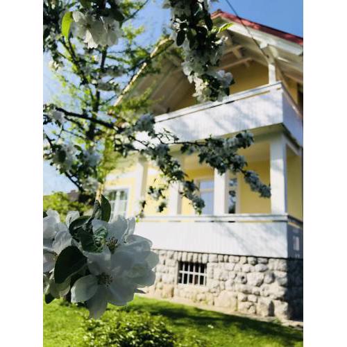 Vila Jago Bled
