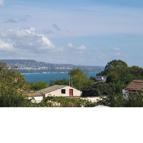 Vila Mimi
