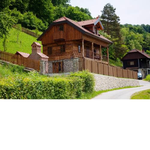 Vila Trnoružica
