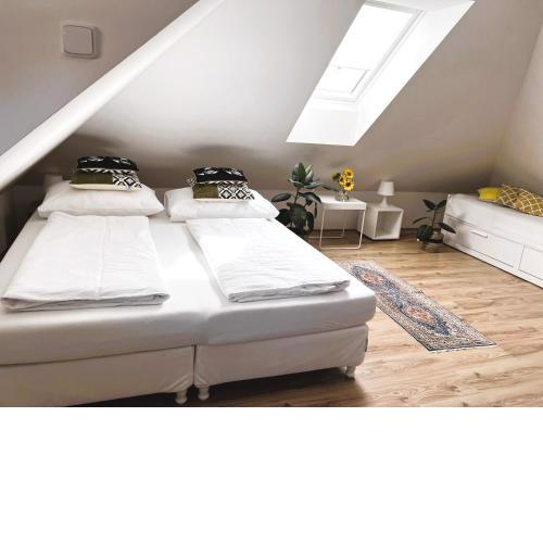 Vila Witke apartmány